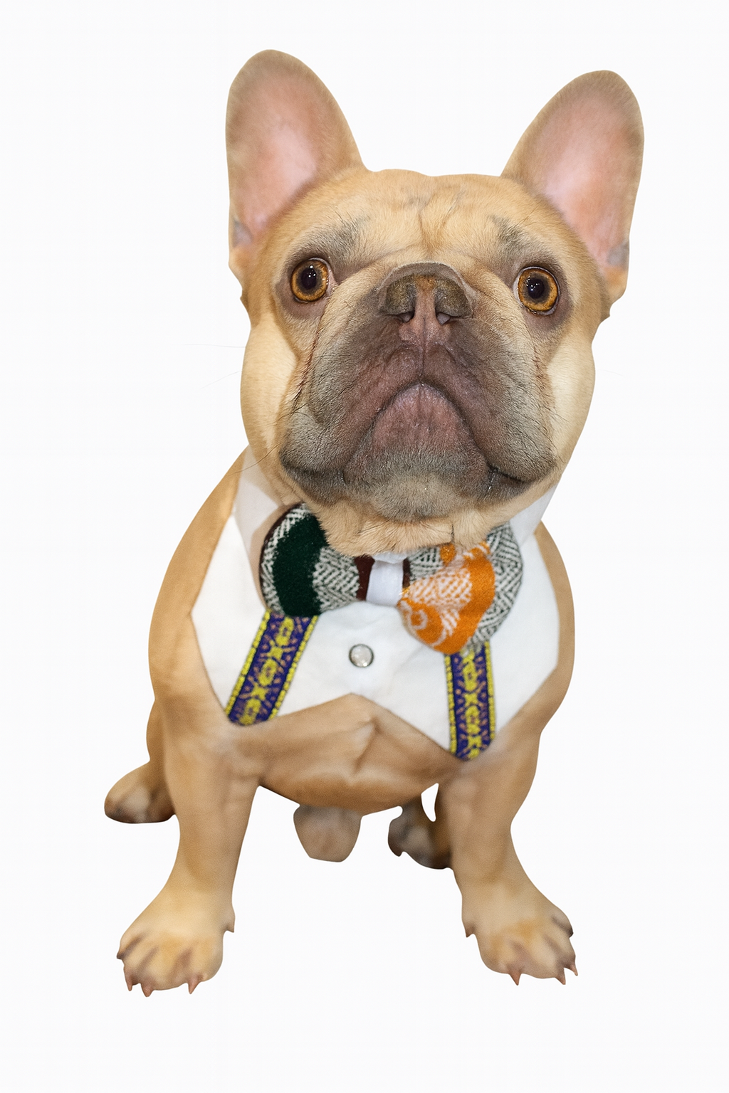 Dog Guayabera ā Traditional Mexican Elegance for Your Pup š¾āØ (48 pcs.)