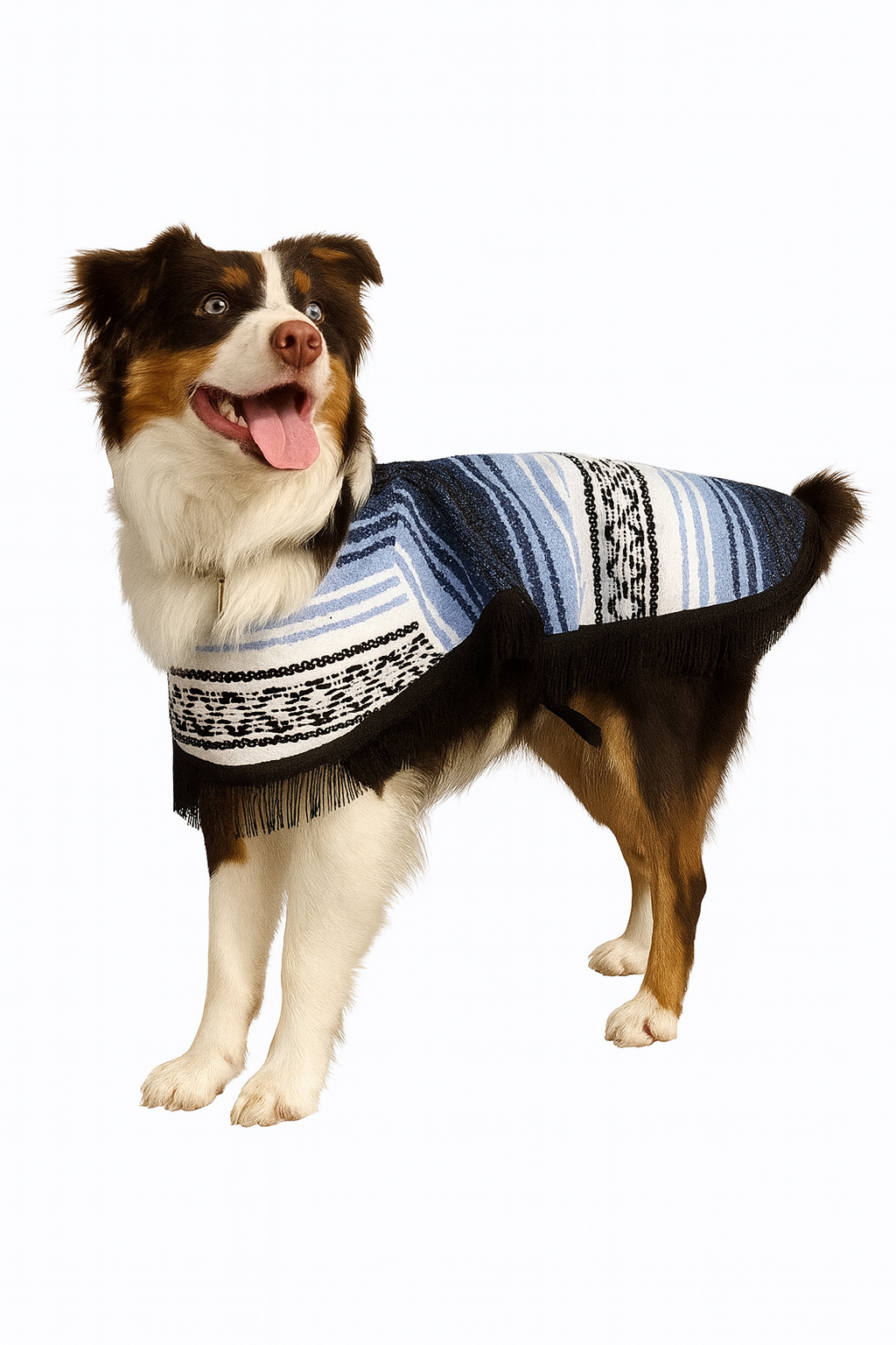 Poncho Variety Starter Pack