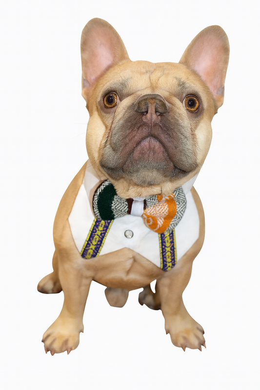 Dog Guayabera – Traditional Mexican Elegance for Your Pup 🐾✨ (48 pcs.)