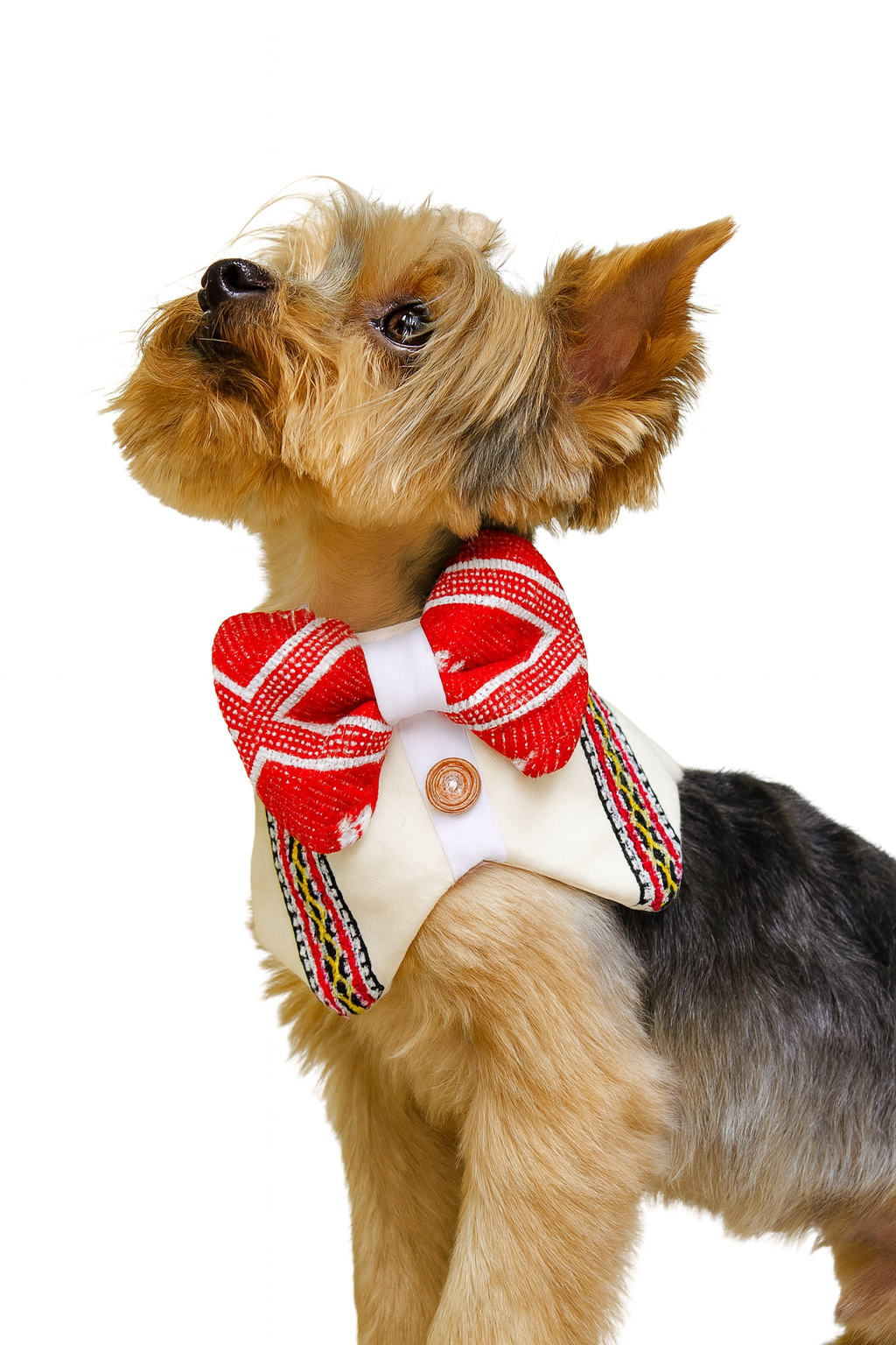 Dog Guayabera – Traditional Mexican Elegance for Your Pup 🐾✨ (48 pcs.)