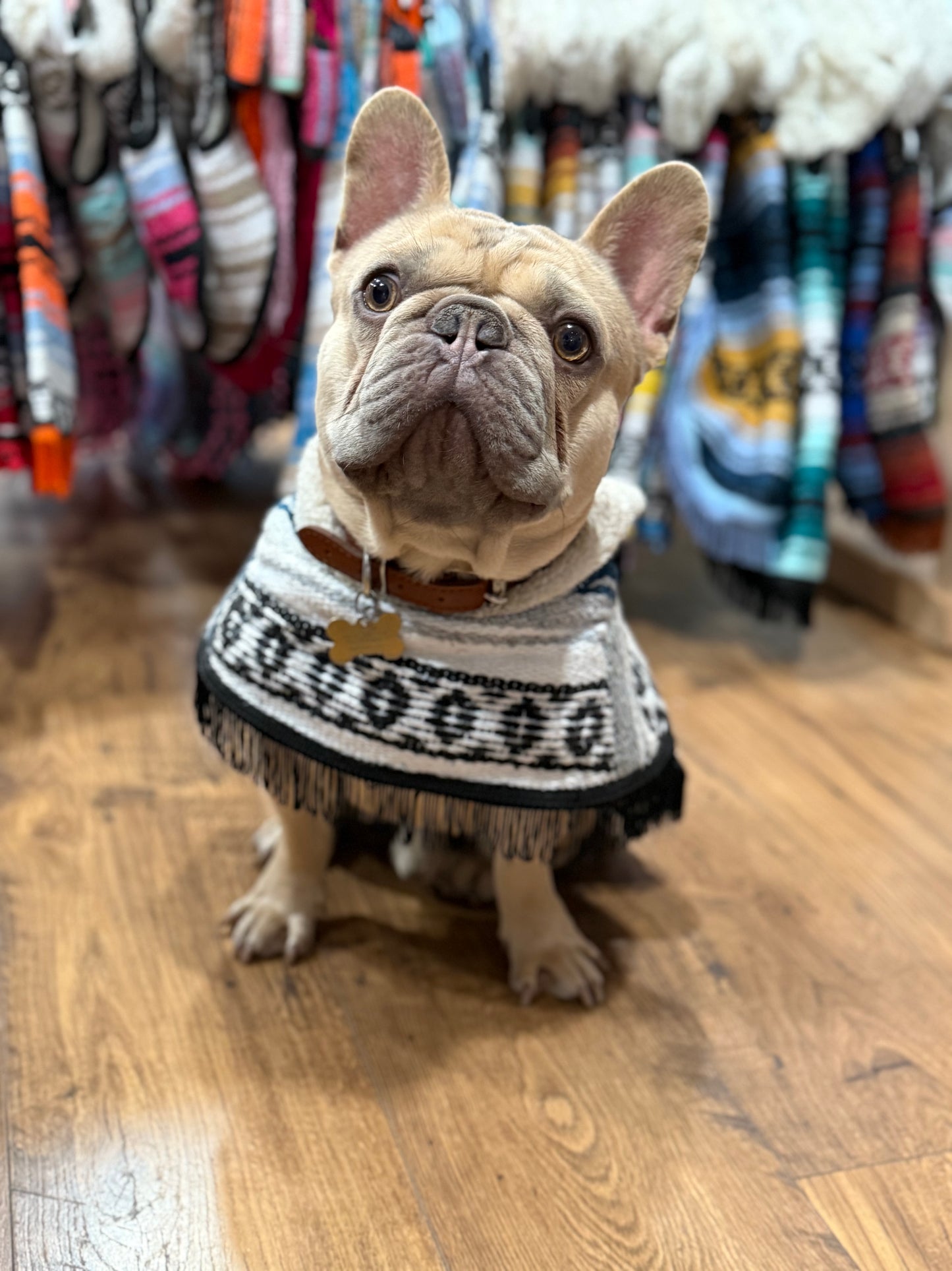 Mexican Sarape Poncho with Soft Fur Lining – For Dogs- Variety Pack