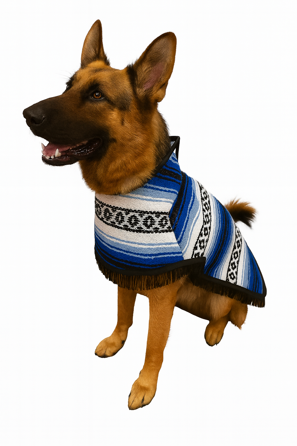 Dog Poncho/Zarape (12pcs.) No Fur! Sin Borrega!