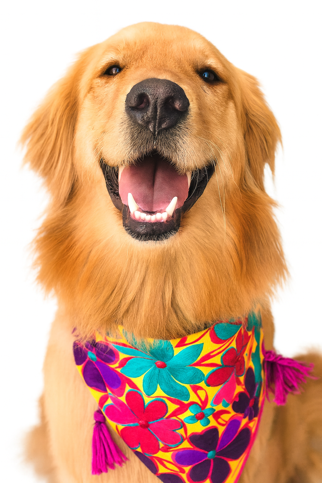 Mexican Embroidered Dog Bandana – Handmade with Love (Starter Pack)