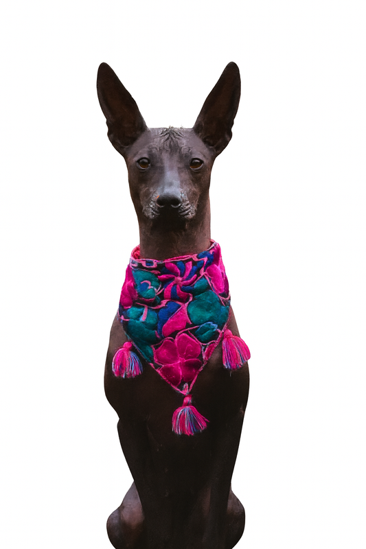 Mexican Embroidered Dog Bandana – Handmade with Love (Starter Pack)
