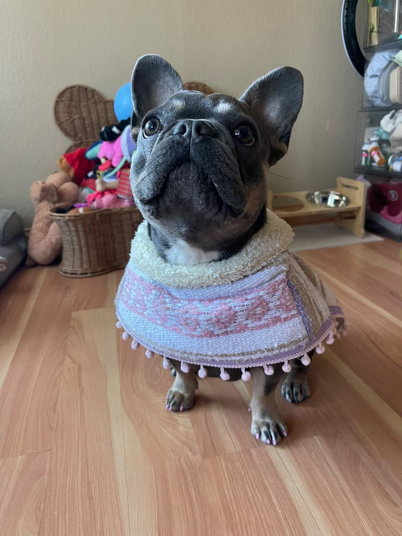 Mexican Sarape Poncho with Soft Fur Lining – For Dogs- Variety Pack
