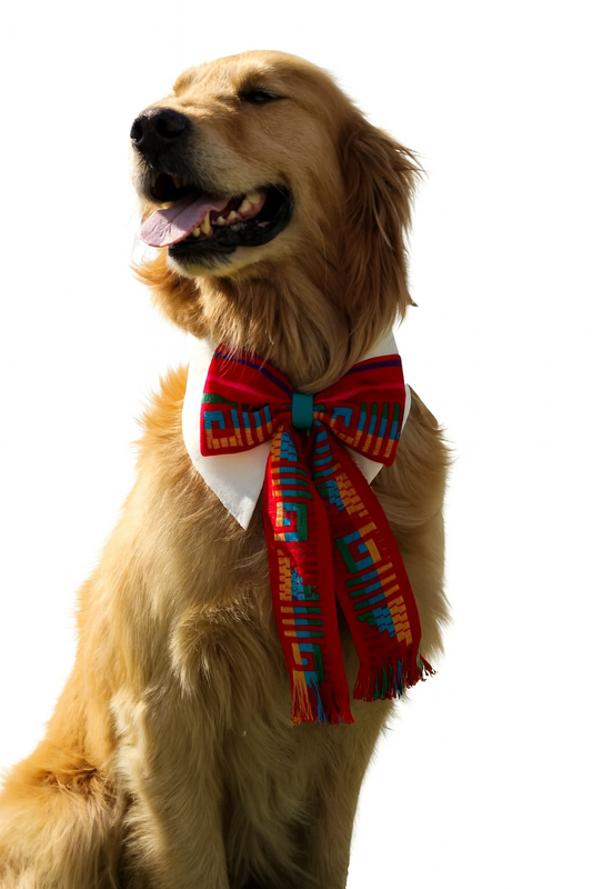 Dog Charritos – Mexican-Inspired Bow Tie 🐾 (48 pcs.)