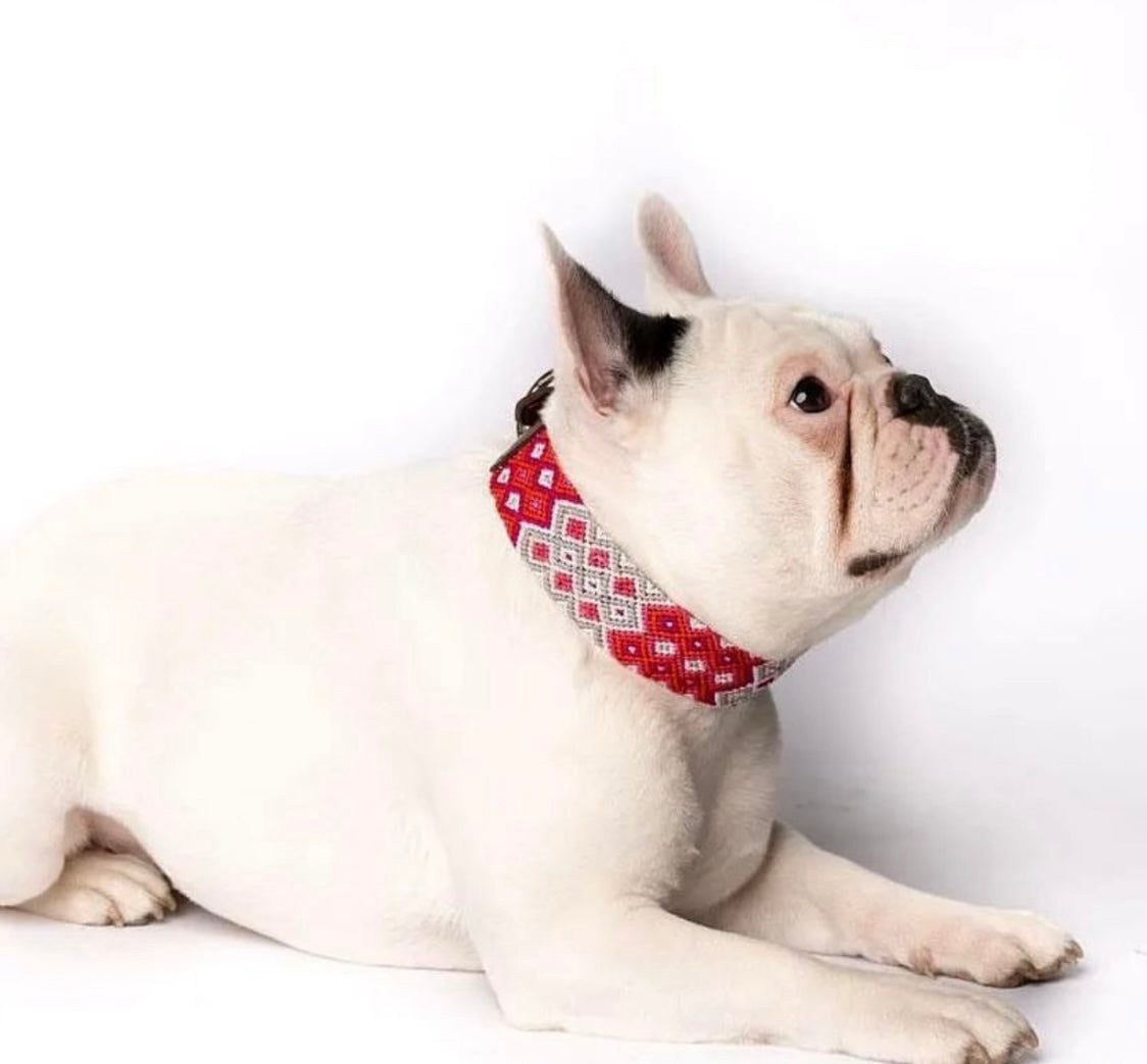 Handwoven Leather Dog Collar – Vibrant & Unique