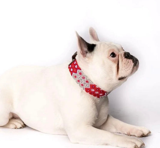 Handwoven Leather Dog Collar – Vibrant & Unique
