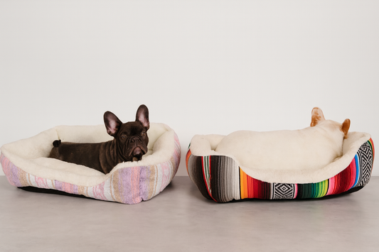 Cozy Sarape Dog Bed – Mexican-Inspired Comfort (6pcs)